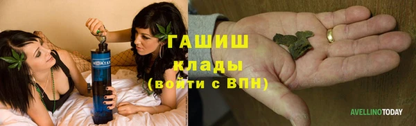 индика Балабаново