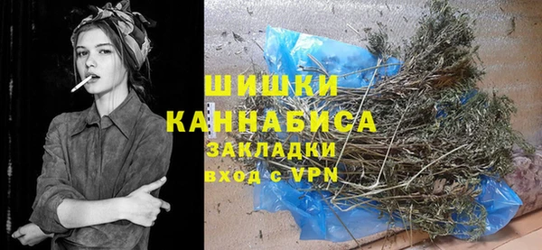 индика Балабаново