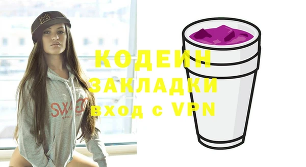 индика Балабаново