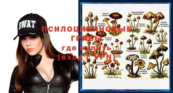 ешки Баксан