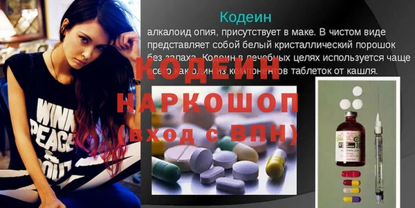индика Балабаново