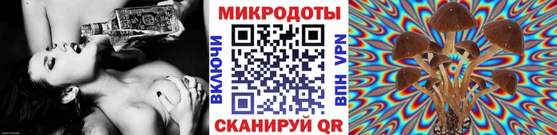 Галлюциногенные грибы Psilocybe  мега сайт  Цимлянск 